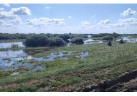 НА ДУБРОВИЧЧИНІ РІЧКА СЛУЧ ВИЙШЛА З БЕРЕГІВ