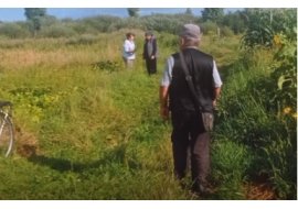 МАСОВІ КРАДІЖКИ ВРОЖАЮ НА ПОСЬОЛКУ: ГОРОДНИКИ ОРГАНІЗУВАЛИ САМООБОРОНУ, ЗАТРИМАНО КРАДІЙКУ