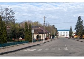 Рахунок на стіл: скільки витягне з кишень платників податків проєкт «Бузок»?