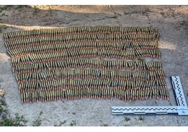 На Дубровиччині чоловік зберігав удома 600 набоїв: поліція почала розслідування