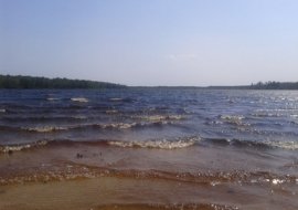 Екоінспекція перевірила Вербівське озеро: чи є загроза для популярної водойми Дубровиччини